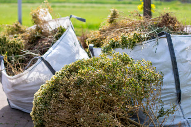Best Junk Removal for Businesses  in Reform, AL